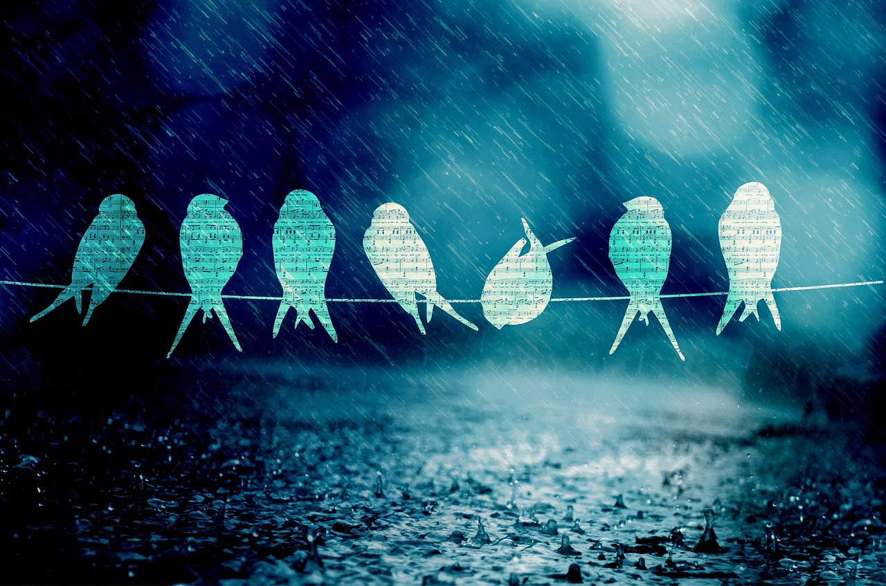 新鄉(xiāng)李寶琴，音樂(lè)中的勵(lì)志人生最新消息