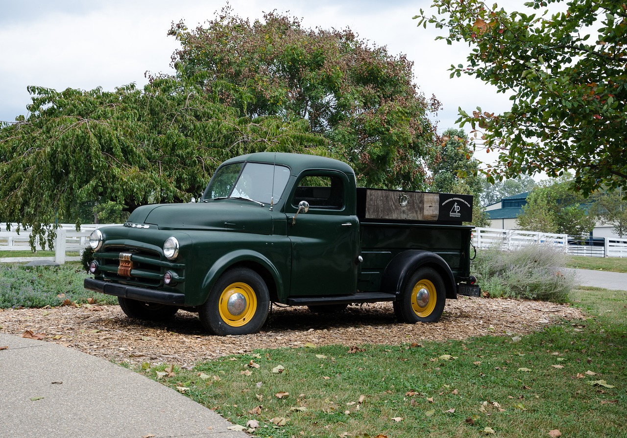 豪門又一城最新動態(tài)，揭開未來繁榮序幕的揭秘消息