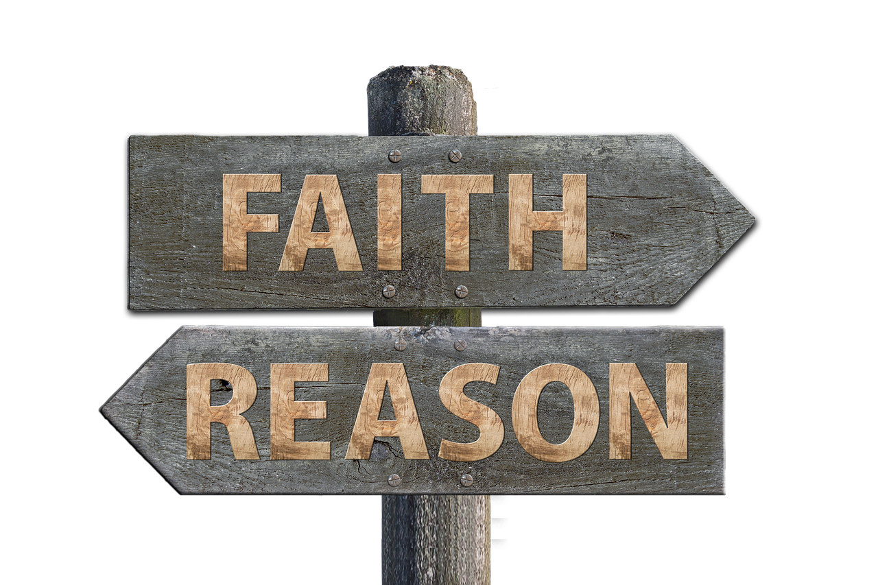 華圖教育股票最新動(dòng)態(tài)，市場(chǎng)走勢(shì)、前景展望與最新消息