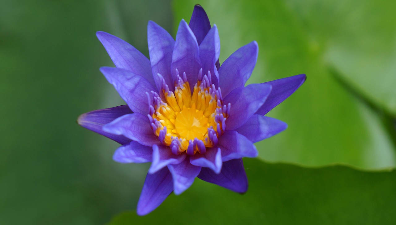 雙陽區(qū)火車站邁向現(xiàn)代化，提升服務質(zhì)量，最新動態(tài)報告