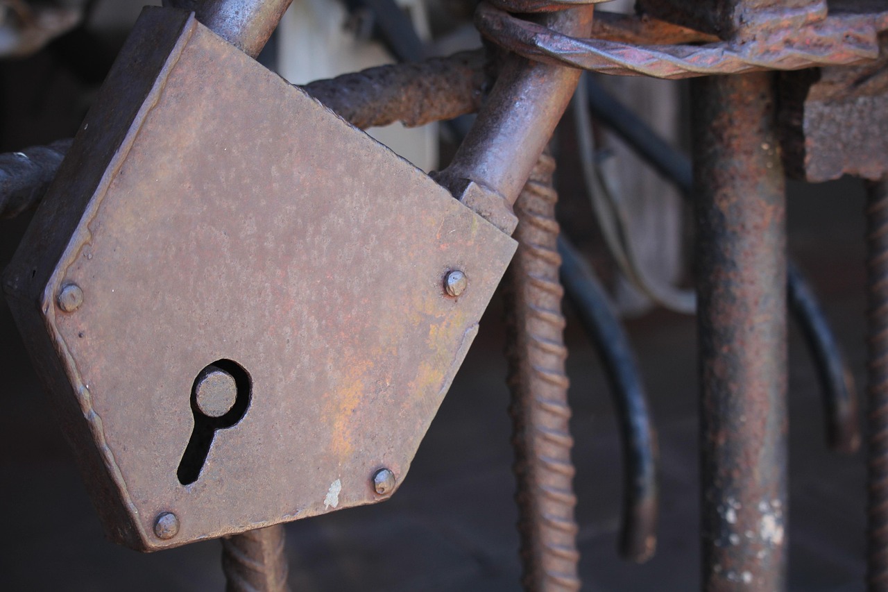 廣東省黨代會(huì)最新動(dòng)態(tài)，新時(shí)代的新征程啟航