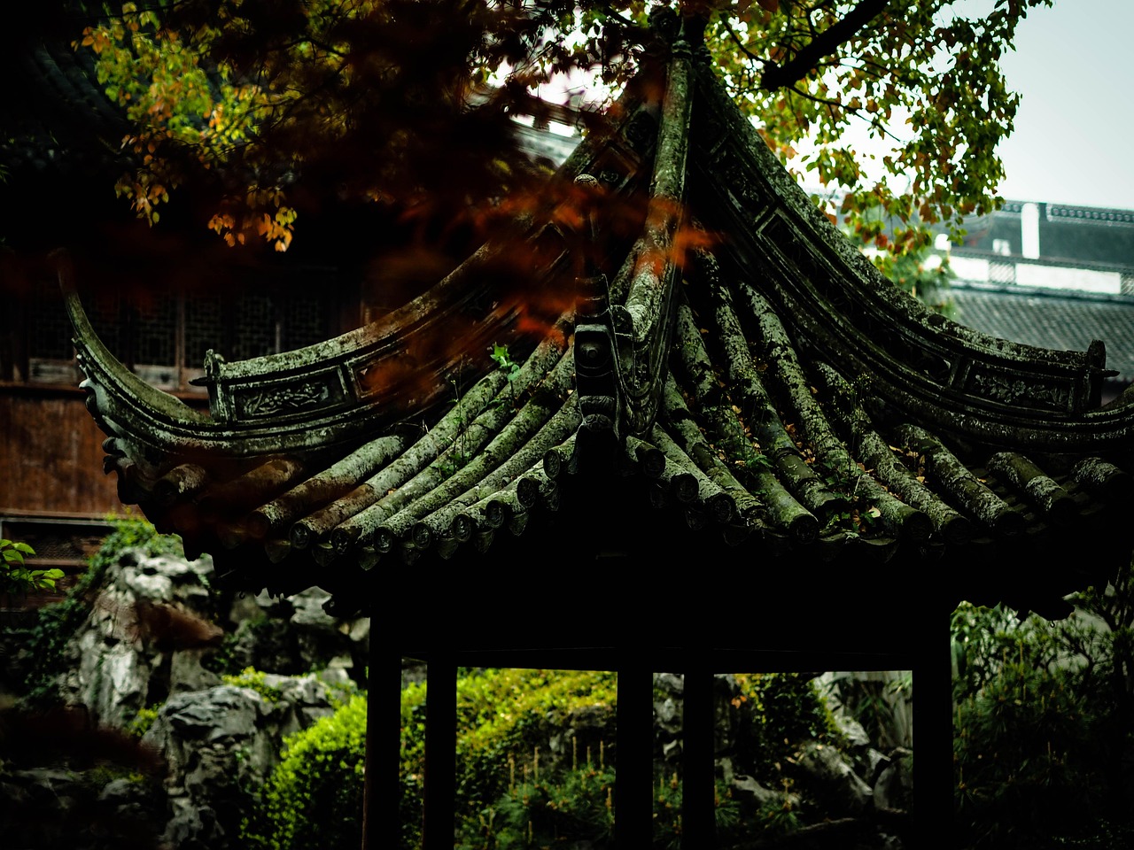 中國女排隊(duì)蓄勢待發(fā)，展現(xiàn)新篇章，最新消息與動(dòng)態(tài)速遞