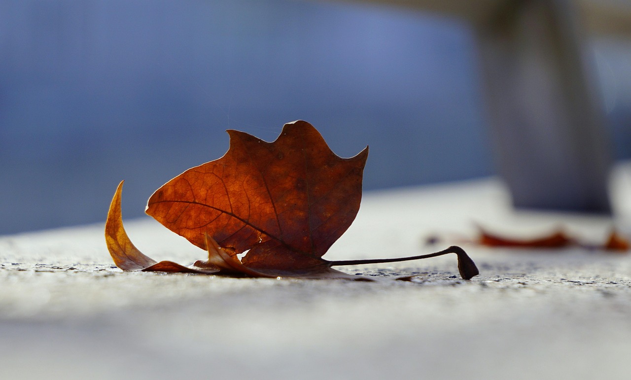 2025年1月 第29頁