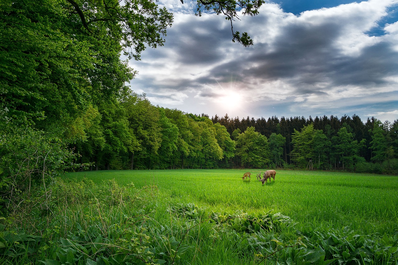 最新快手版本探索與解析，版本更新動態(tài)及功能解析
