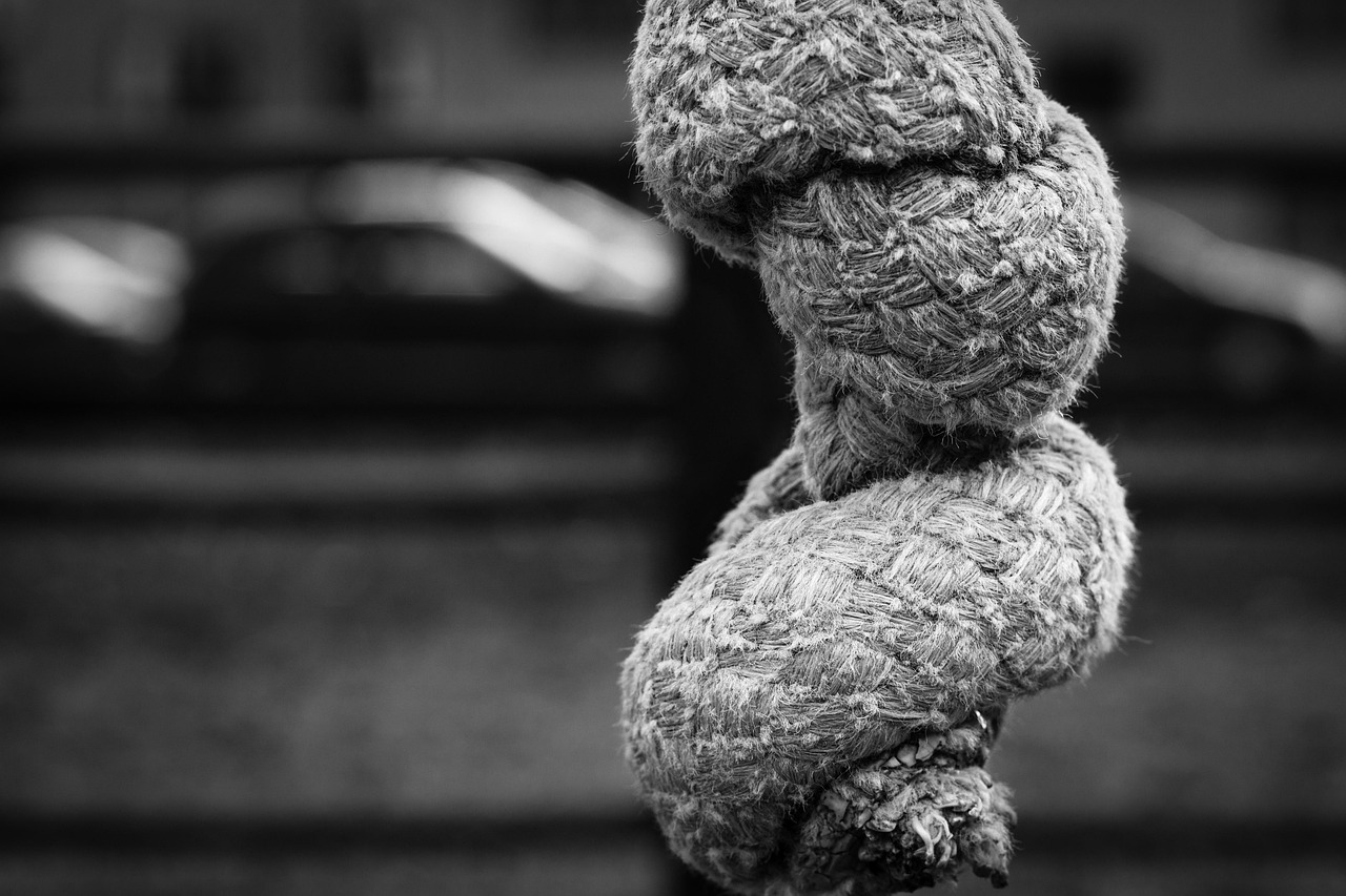 佳能RF鏡頭2023最新動態(tài)，引領(lǐng)攝影技術(shù)革新