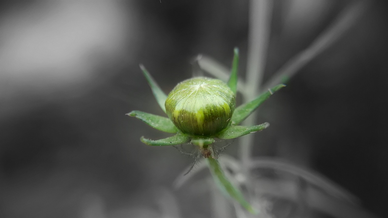 托普軟件最新消息深度解析，公司動態(tài)與技術(shù)進展一網(wǎng)打盡