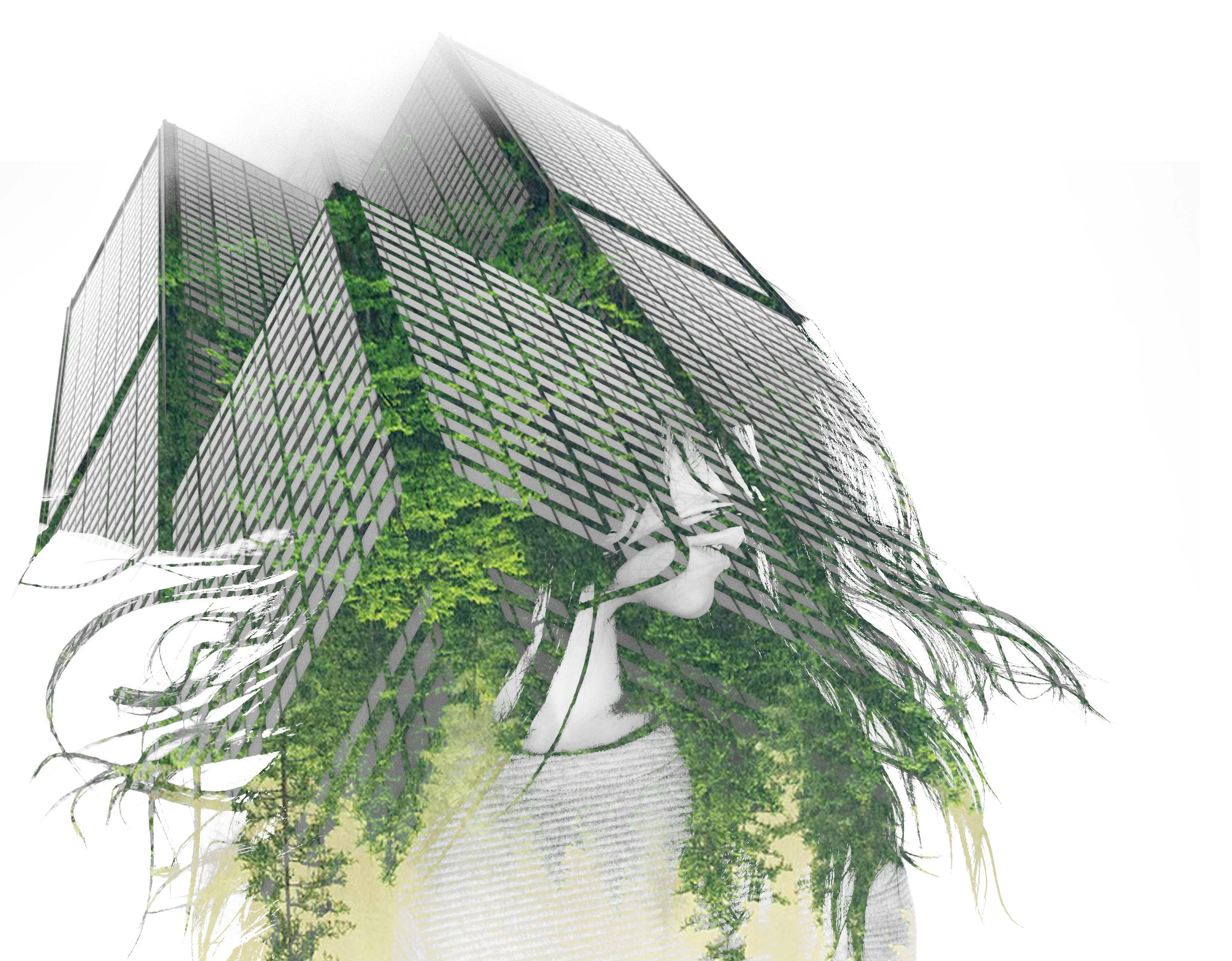 楊冪街拍生活照曝光，時尚潮流風(fēng)向標(biāo)的新動態(tài)