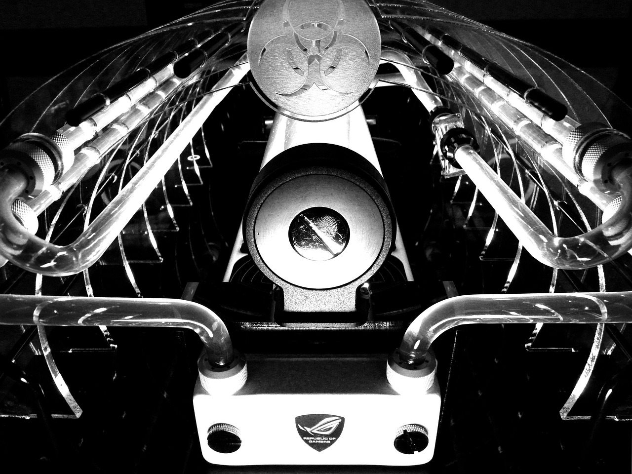 劉亦菲最新動(dòng)態(tài)匯總，忙碌的日子里的消息更新