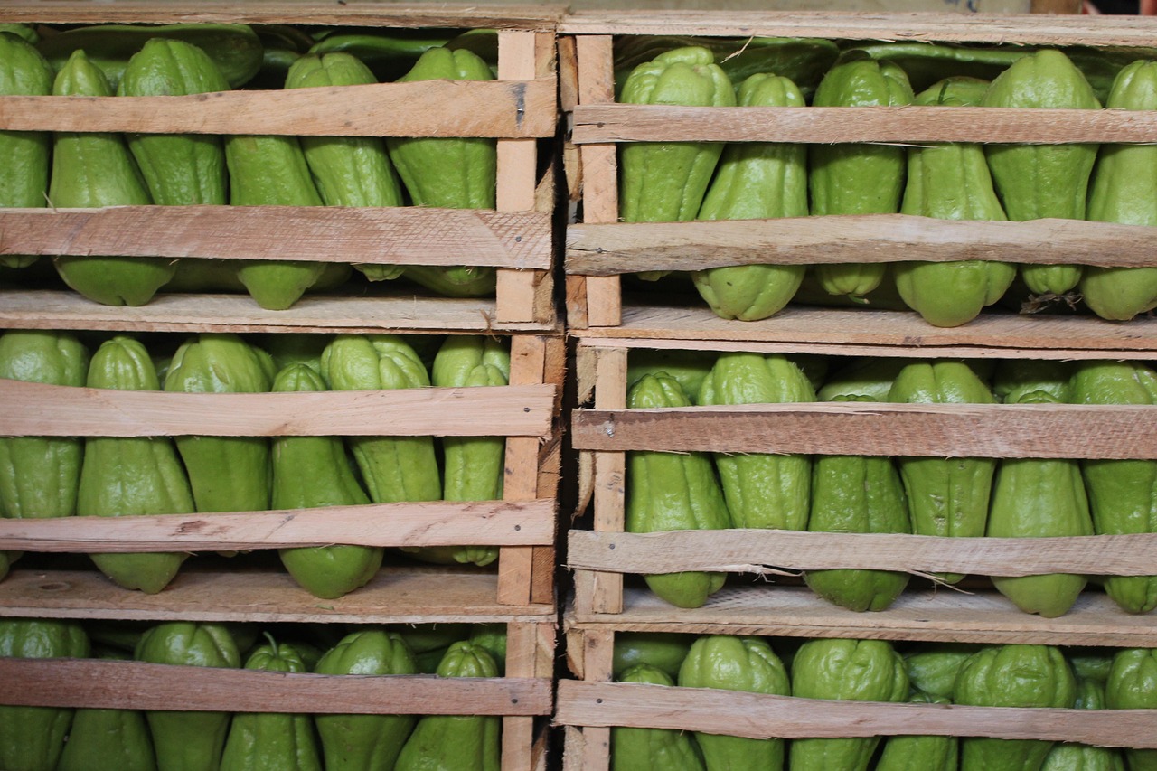 濱康綜合體最新動(dòng)態(tài)，城市發(fā)展的璀璨明珠閃耀光芒