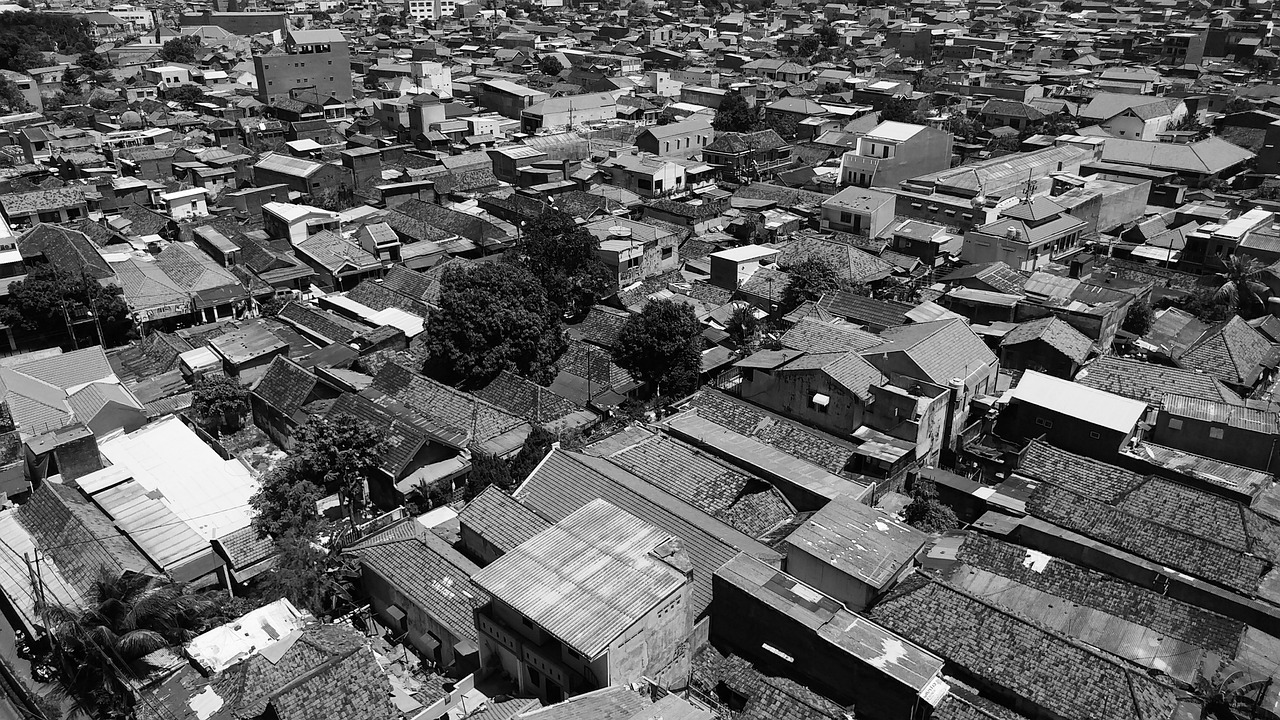 芊茗靜語 第11頁