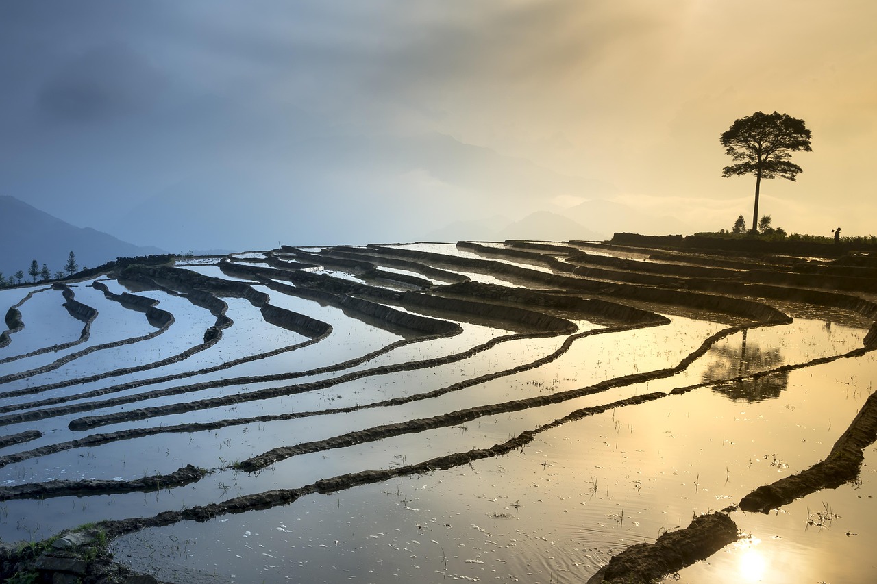 新鄉(xiāng)鳳泉湖最新進(jìn)展揭秘，生態(tài)城市壯麗序幕正式拉開(kāi)！