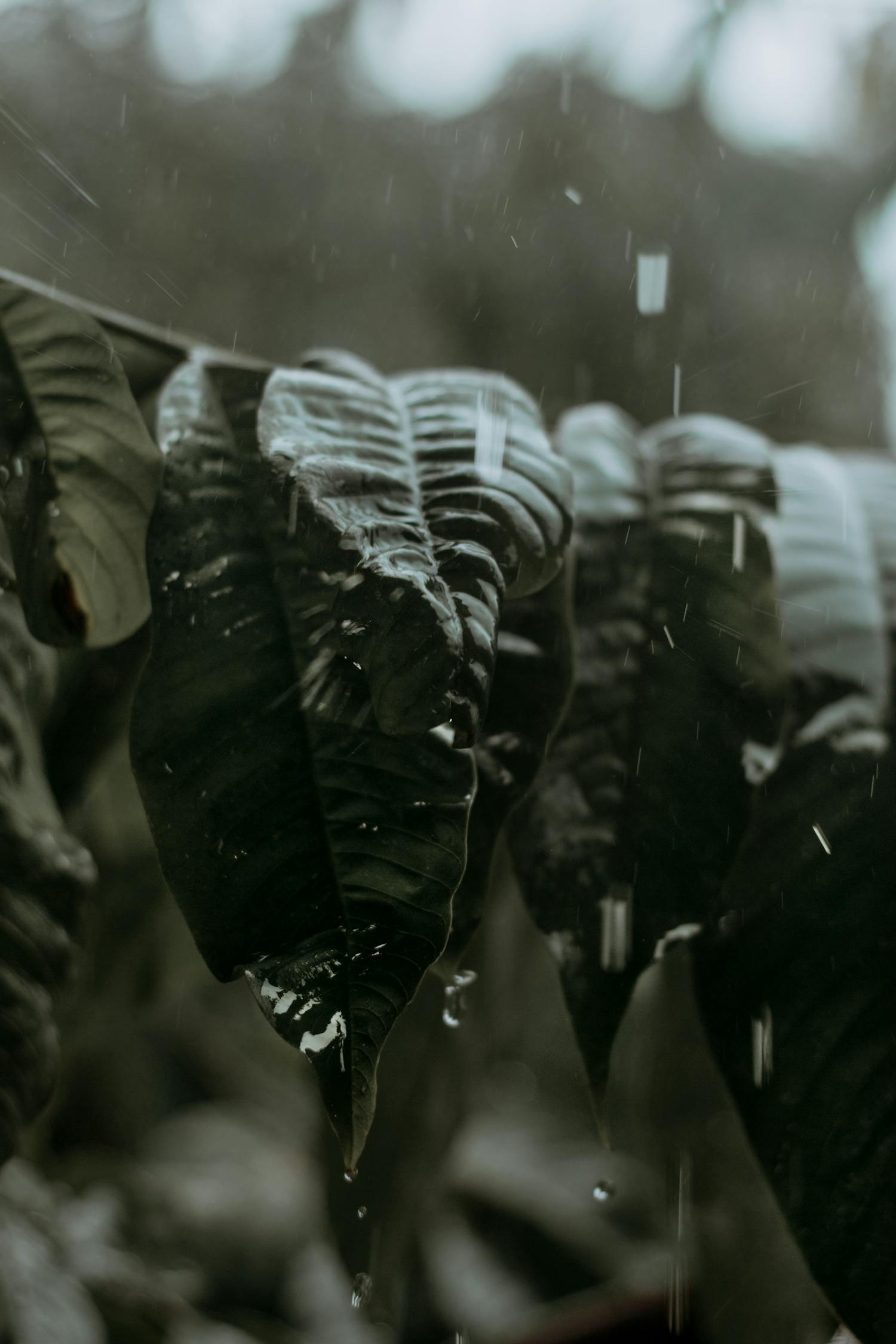 中超遼寧宏運(yùn)新賽季展望，蓄勢待發(fā)，最新動態(tài)揭秘