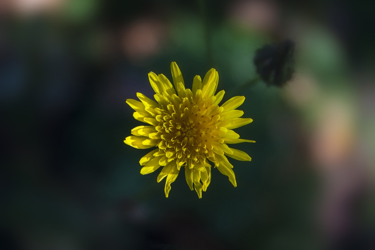 小欖九洲花園最新動態(tài)與消息速遞