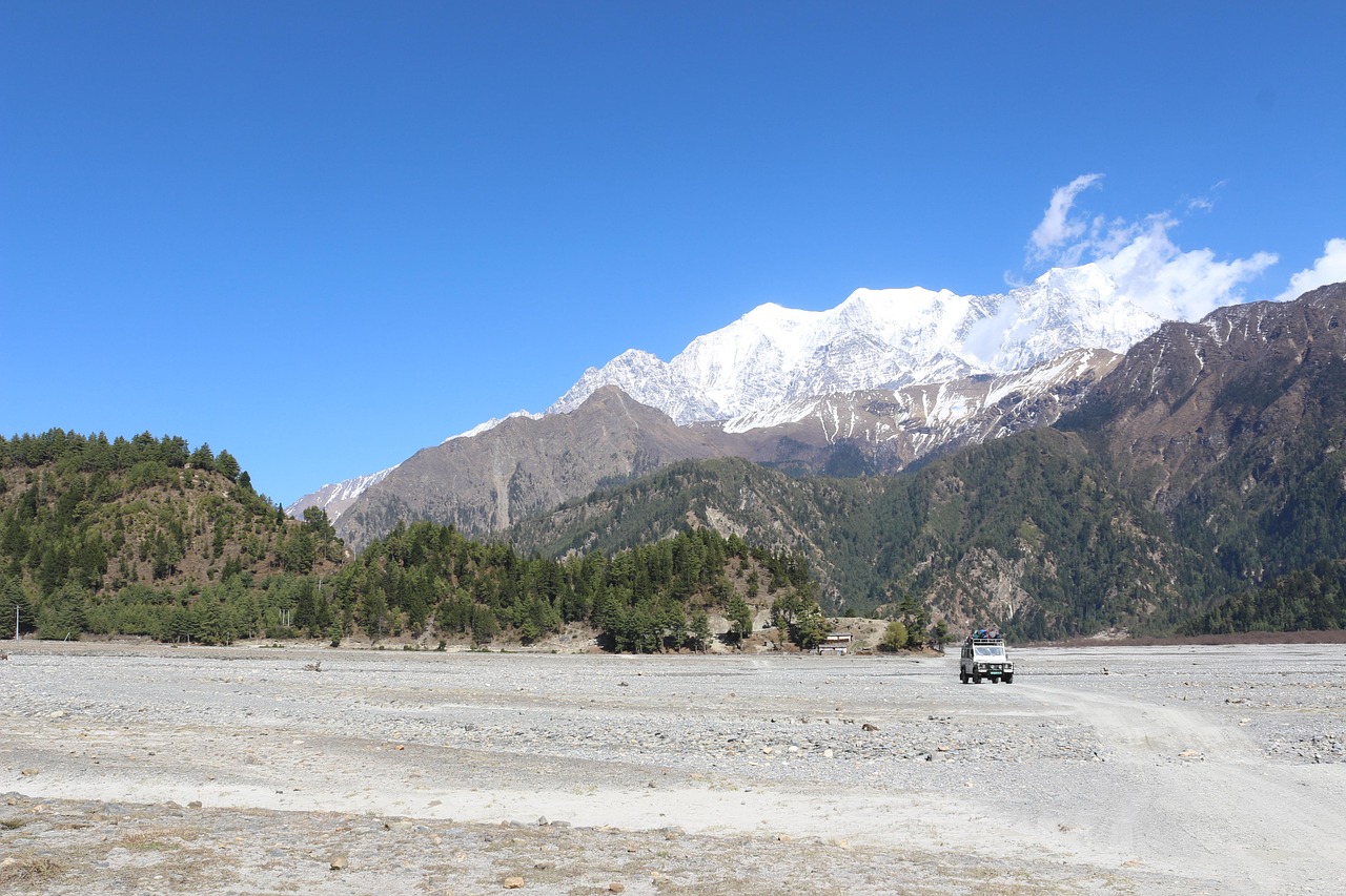 日照最新靚號(hào)手機(jī)號(hào)碼動(dòng)態(tài)更新