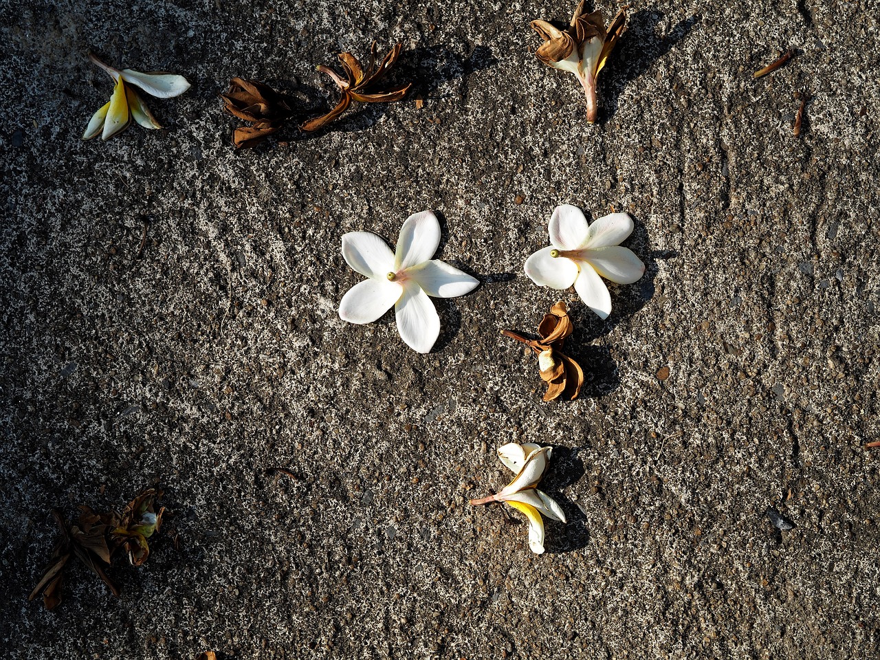 洪澤湖采砂最新動(dòng)態(tài)更新，最新采砂消息揭秘