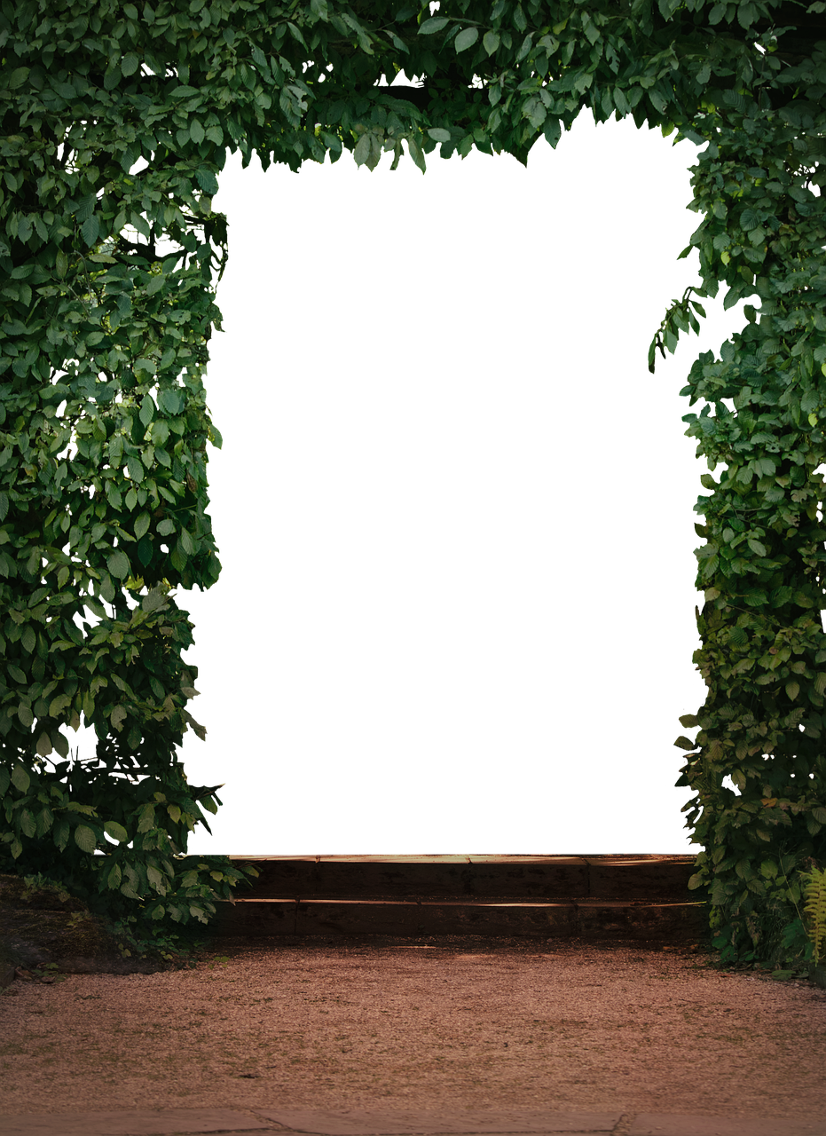 南湖公園二期最新動態(tài)，綠色明珠的未來展望