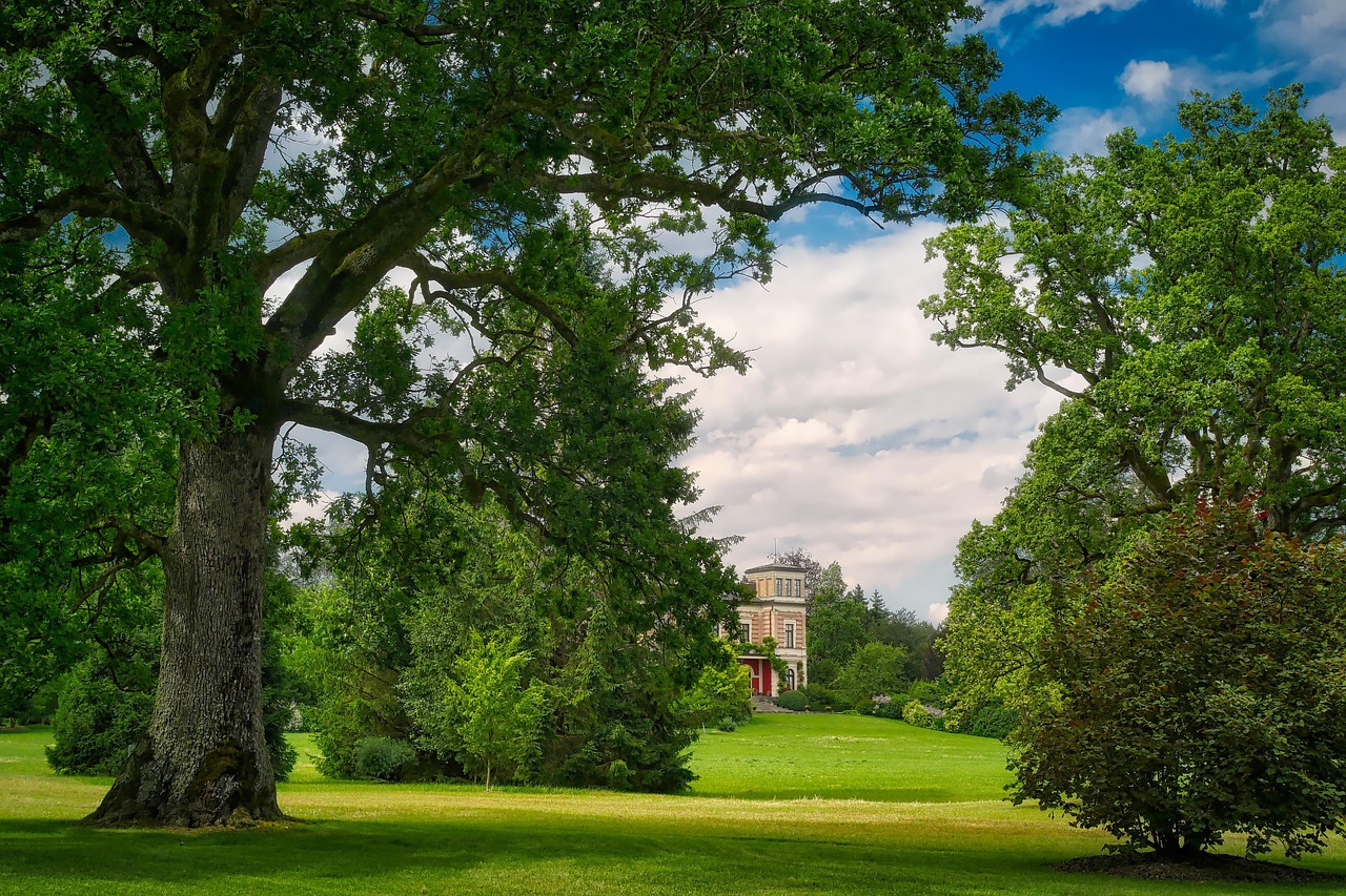 愛(ài)濤尚書(shū)云邸最新動(dòng)態(tài)揭秘，城市繁華生活新篇章