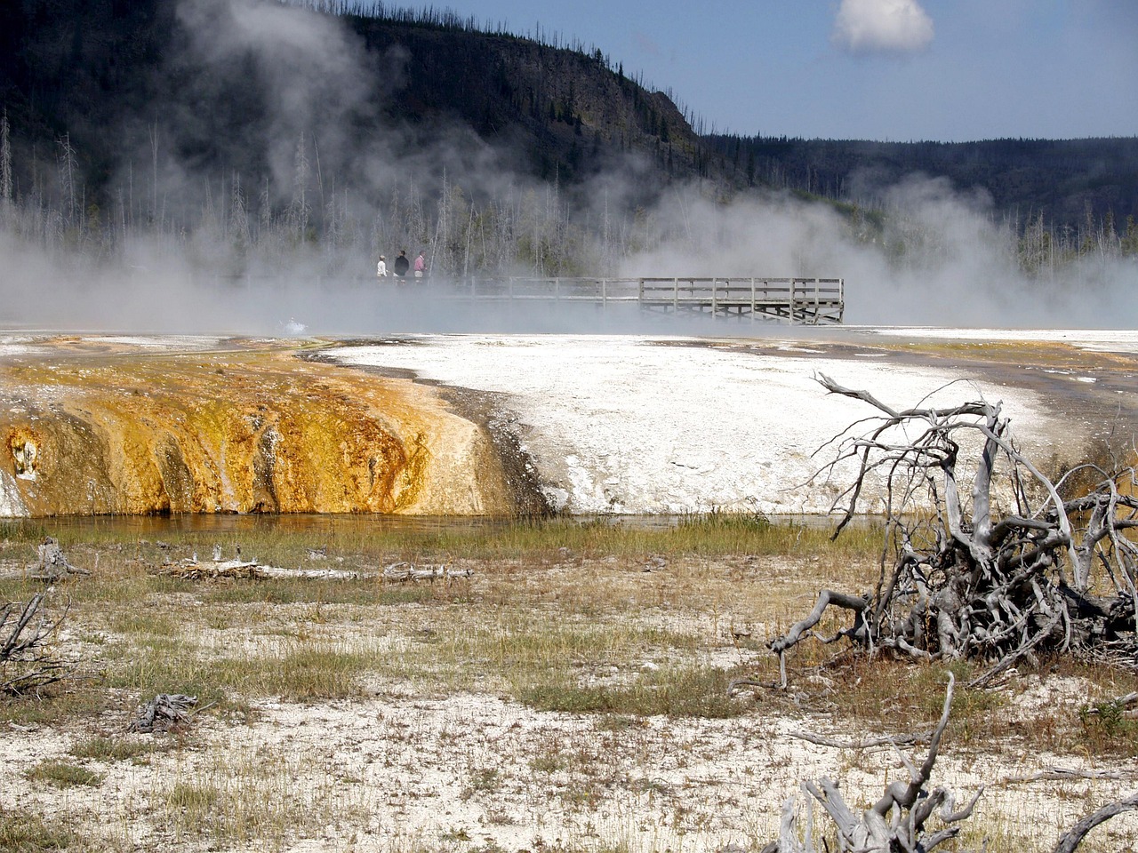 宏澤中央公園最新動態(tài)速遞，最新消息一覽