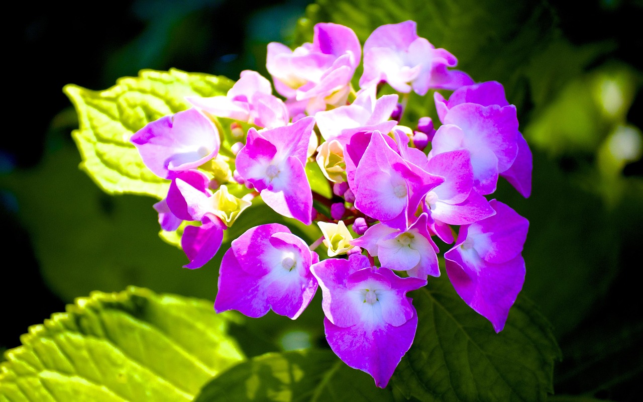 李景文將軍的最新動態(tài)，軍事生涯與卓越貢獻概述
