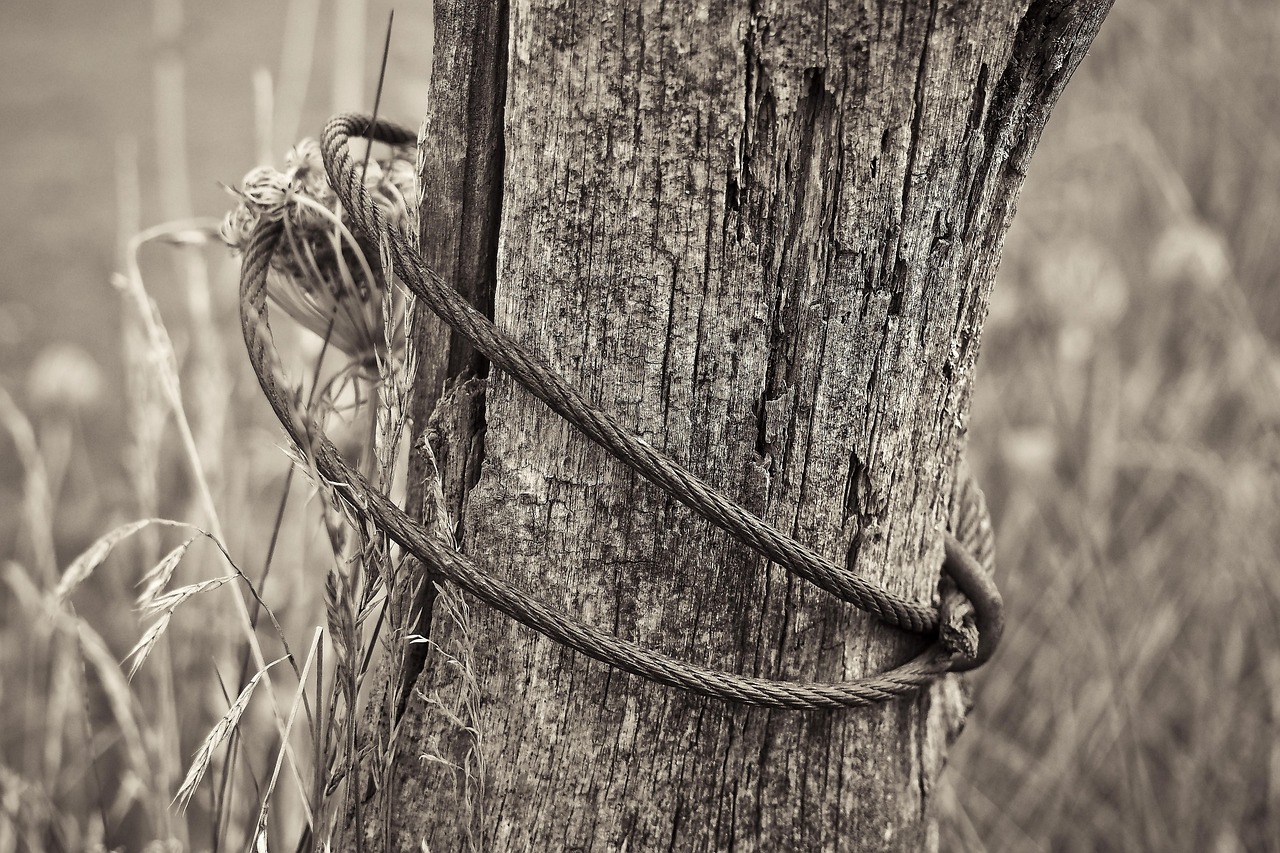 祁陽撤縣劃市最新動(dòng)態(tài)，轉(zhuǎn)型發(fā)展開啟嶄新篇章