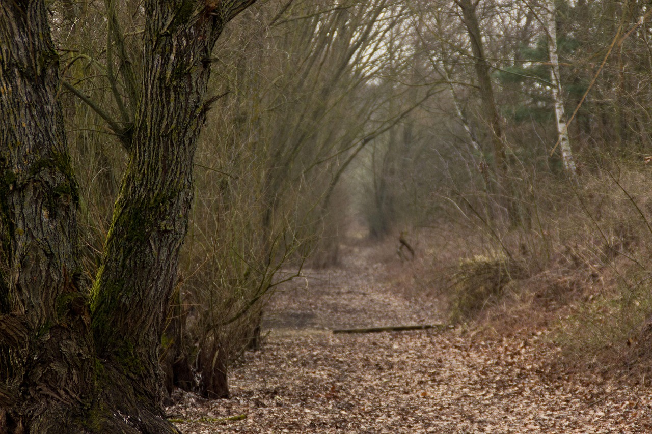 北京農(nóng)貿(mào)市場(chǎng)最新價(jià)格表及動(dòng)態(tài)更新