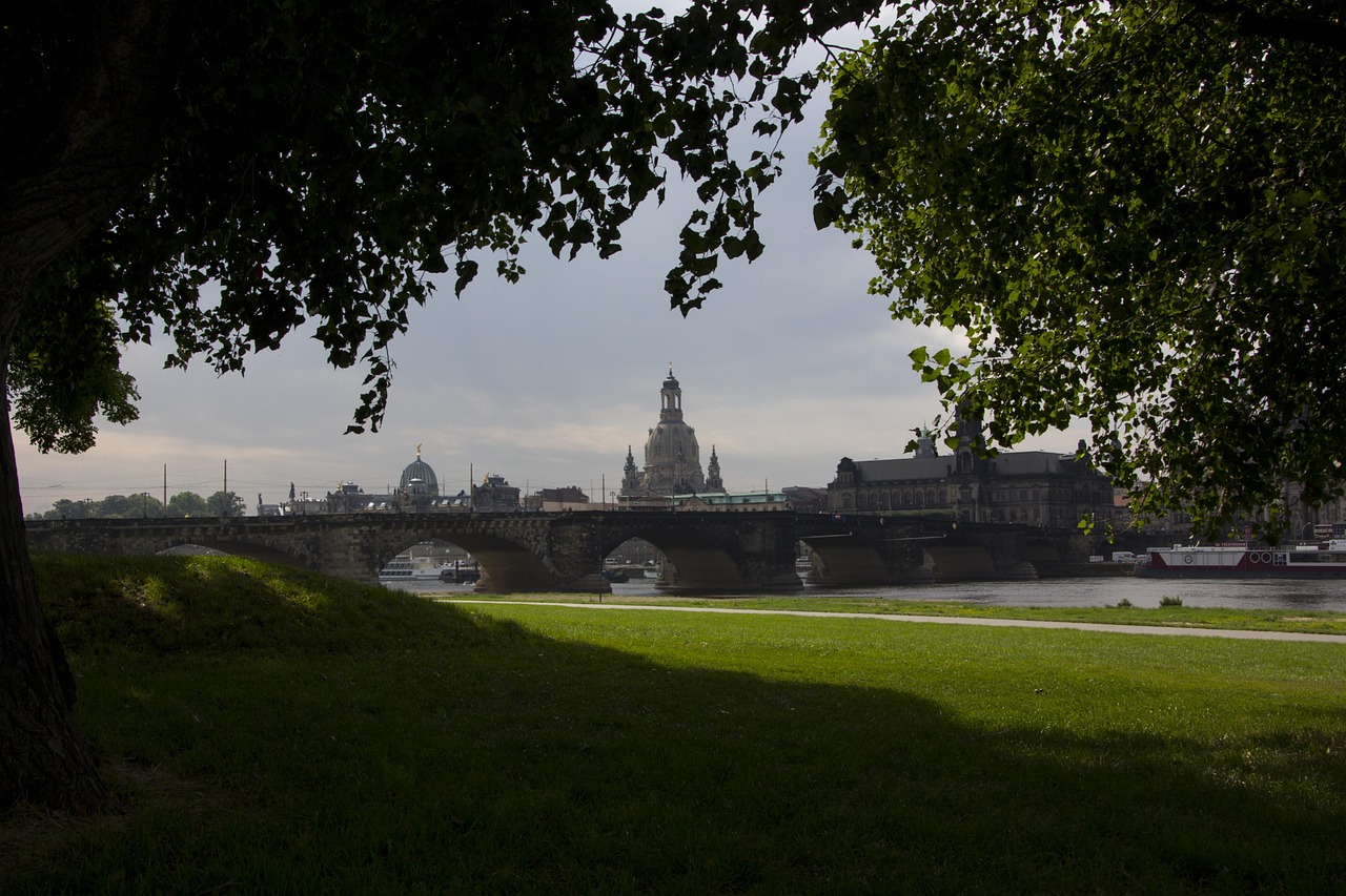 成華圣燈公園最新進(jìn)展，城市綠色心臟蓬勃生長
