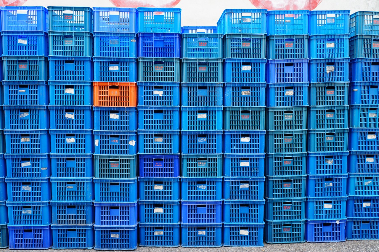 平頂山單知偉，城市發(fā)展的見證者與創(chuàng)新引領(lǐng)者的最新動態(tài)