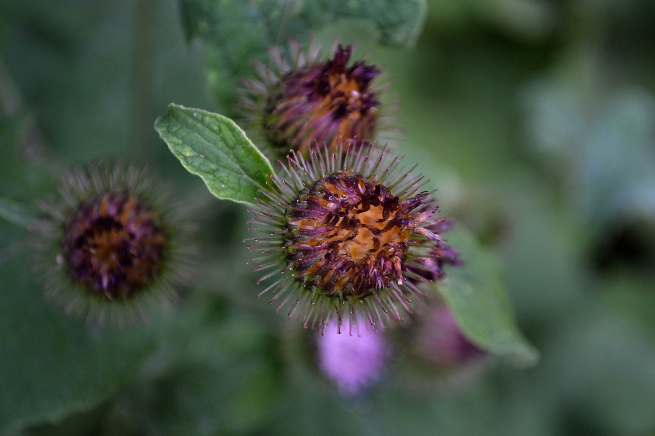 蕪湖市三山區(qū)最新招聘信息概覽，最新職位與招聘動(dòng)態(tài)全解析