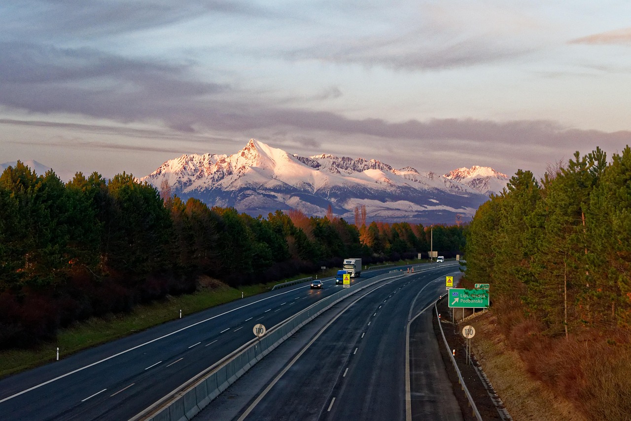 沈陽地鐵10號(hào)線最新線路圖概覽，最新線路圖一覽無余