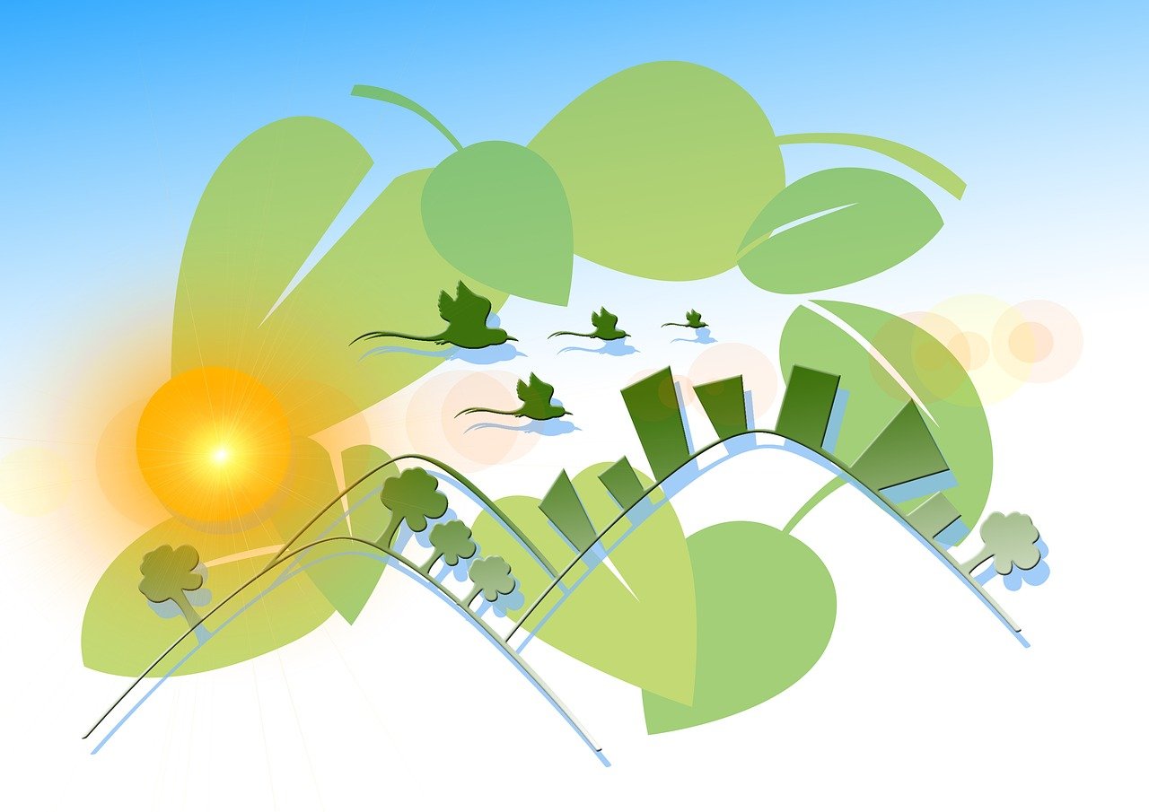 ST長(zhǎng)油新三板動(dòng)態(tài)，最新消息與深度解析