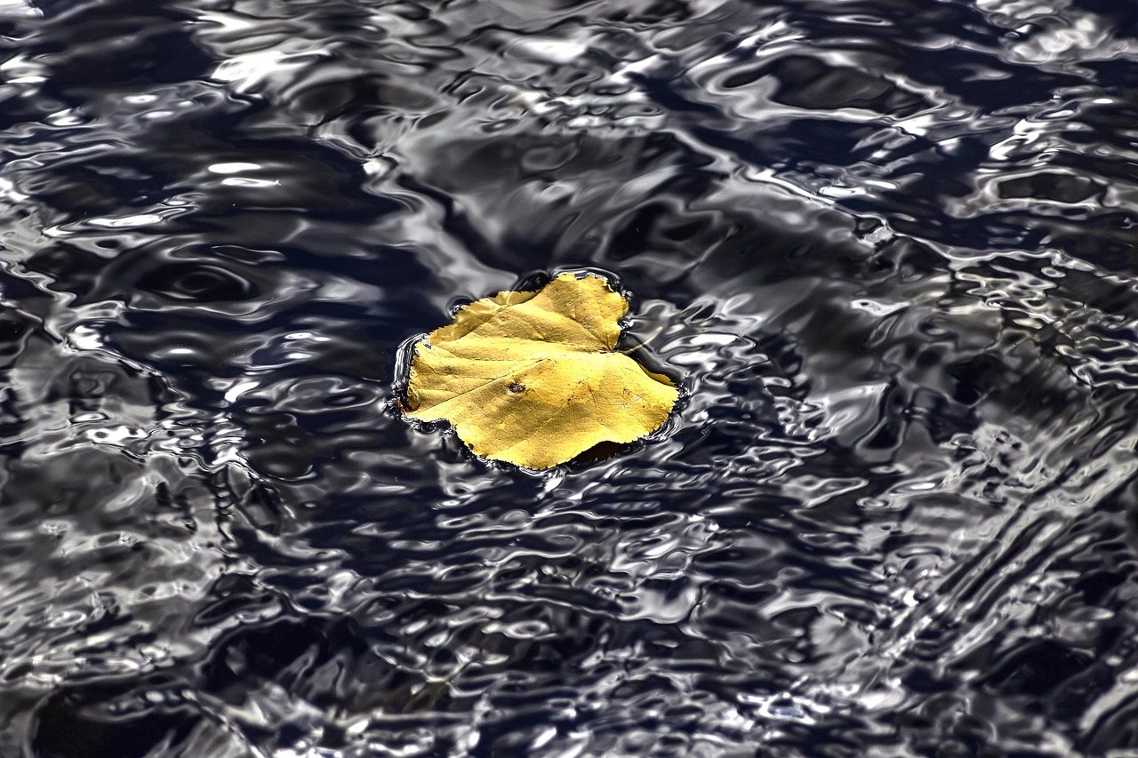 內(nèi)蒙古自治區(qū)政府最新人事任免動(dòng)態(tài)公布