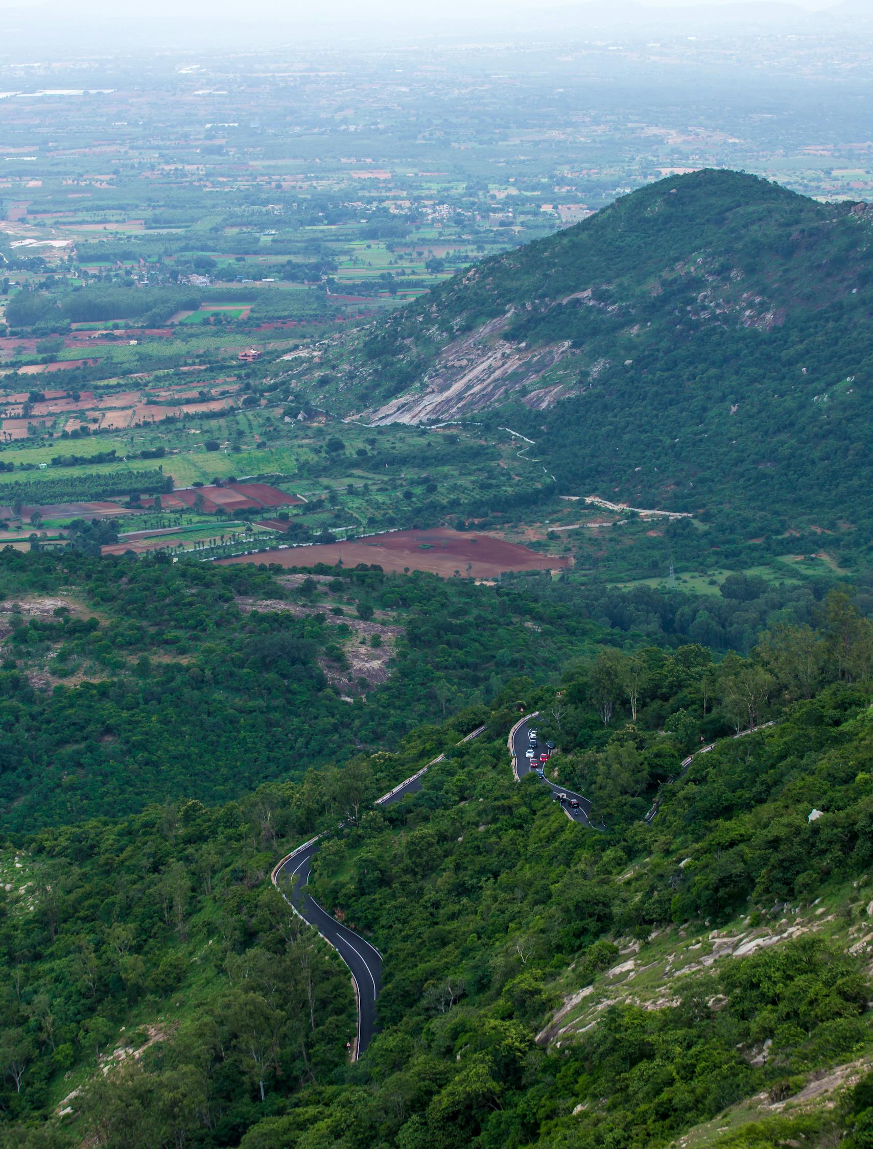 G59張家界至官莊高速最新消息全面解讀