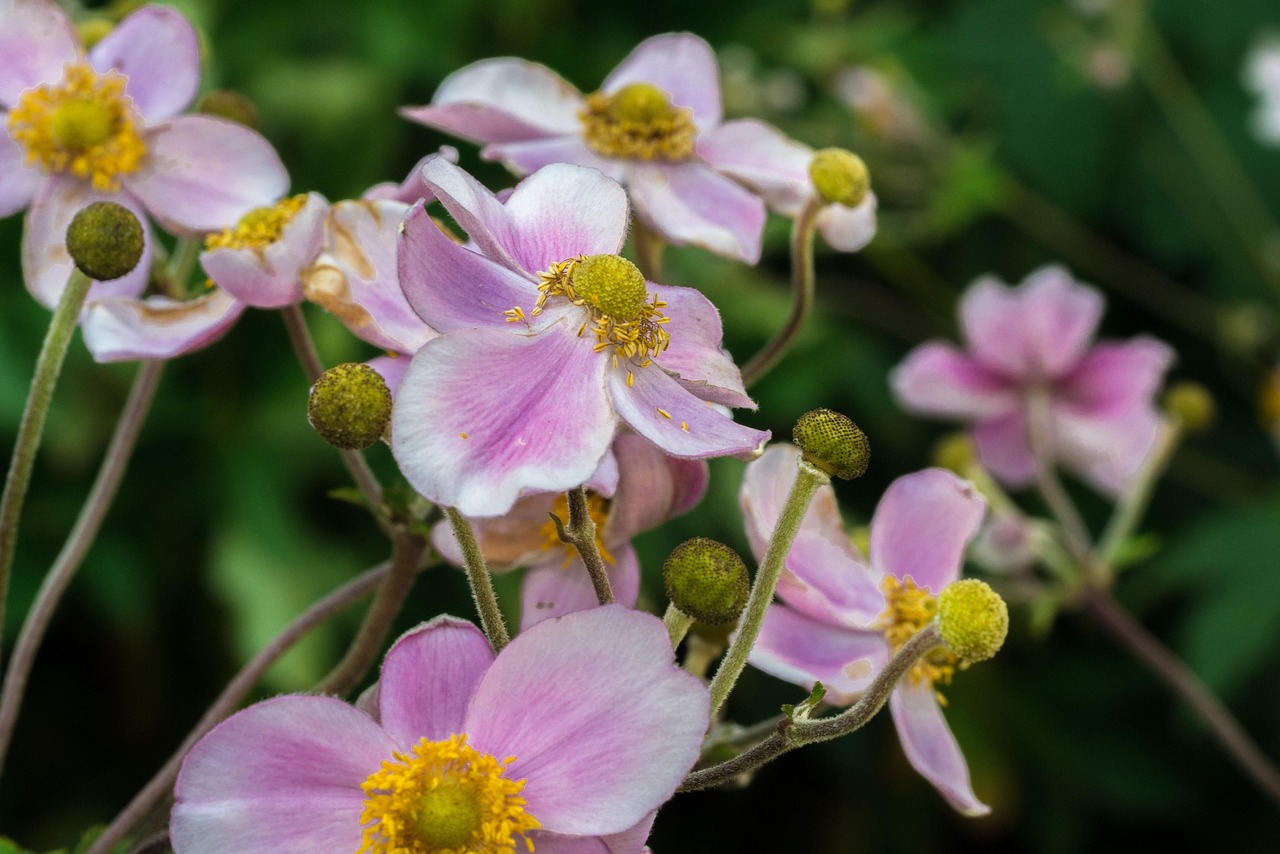 馬刺最新動(dòng)態(tài)，持續(xù)進(jìn)化，蓄勢待發(fā)啟航新征程