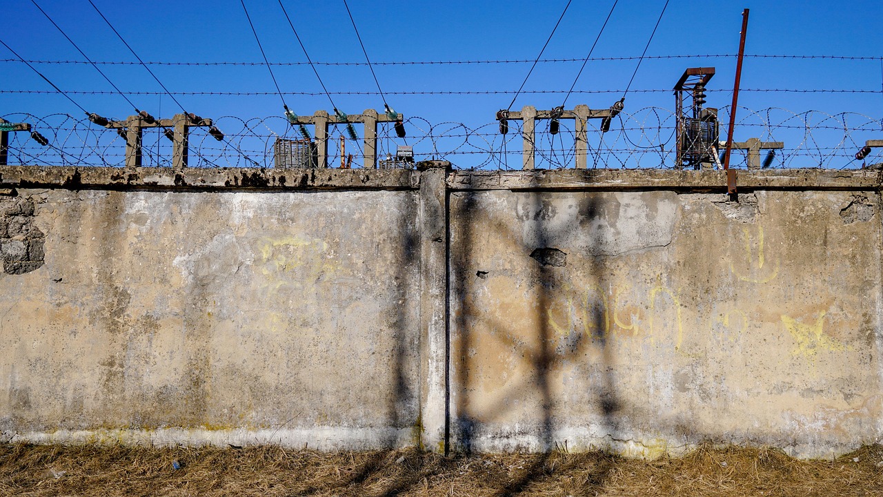 創(chuàng)新科技引領(lǐng)奶粉行業(yè)變革的最新動(dòng)態(tài)