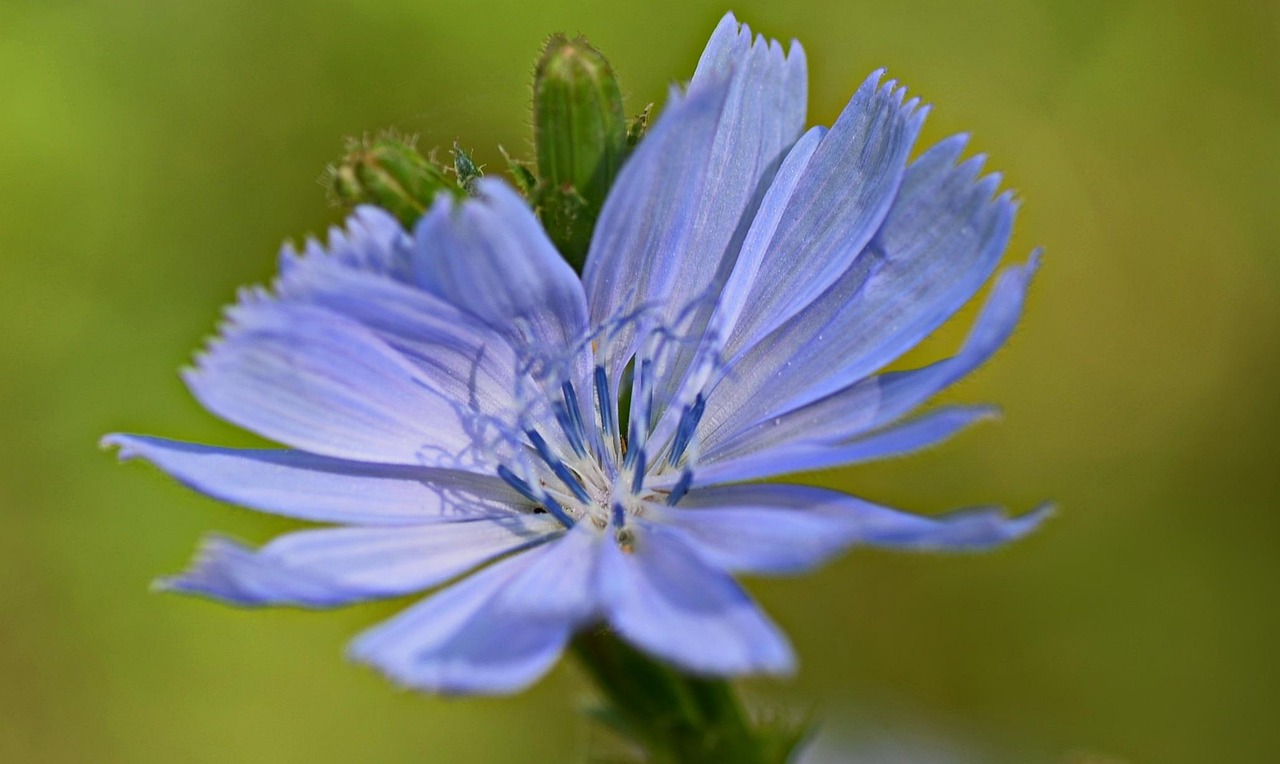 窗外的海風(fēng)吹過 第2頁