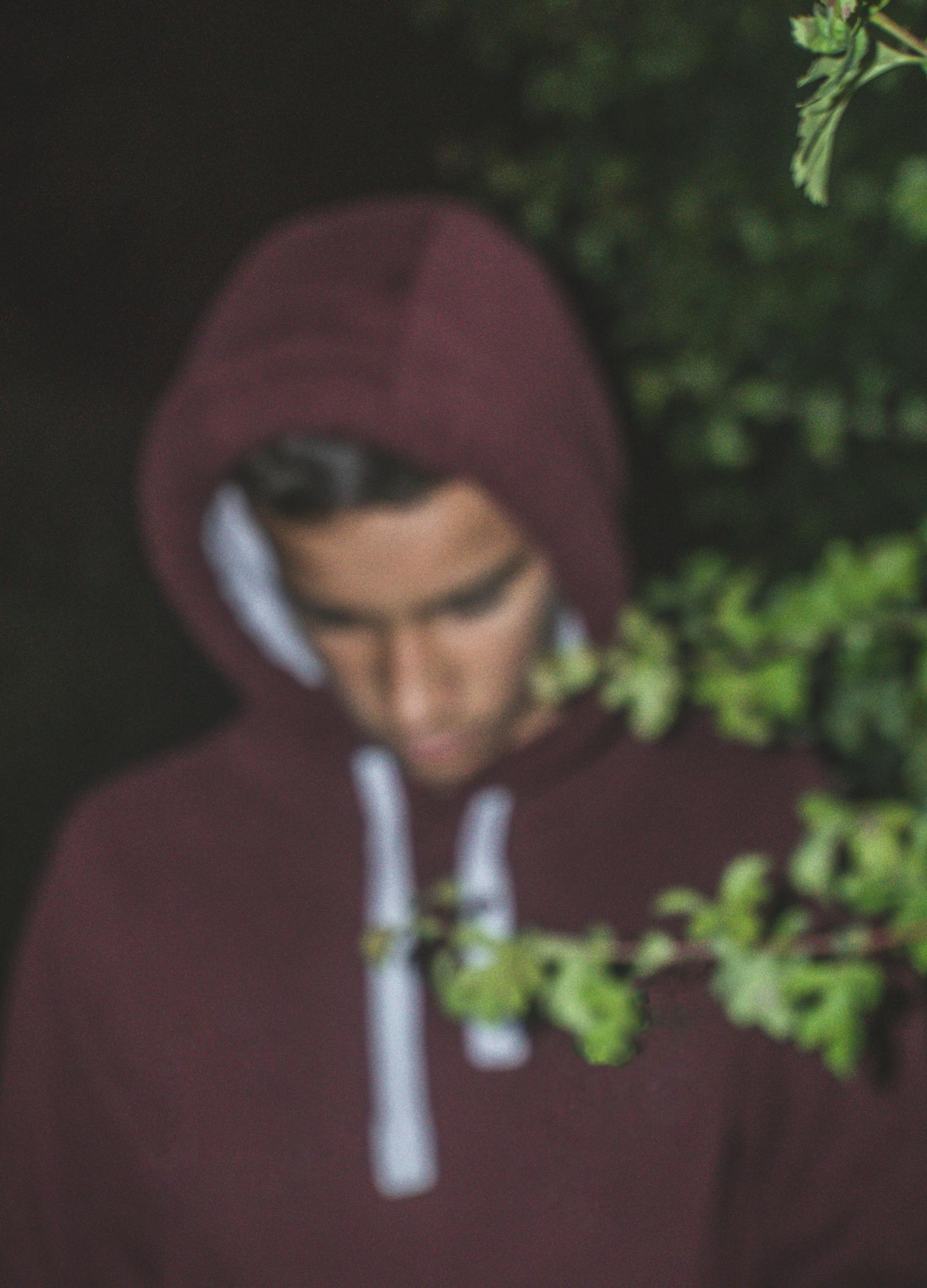 最新情愛電影，情感與愛的多維畫卷探索