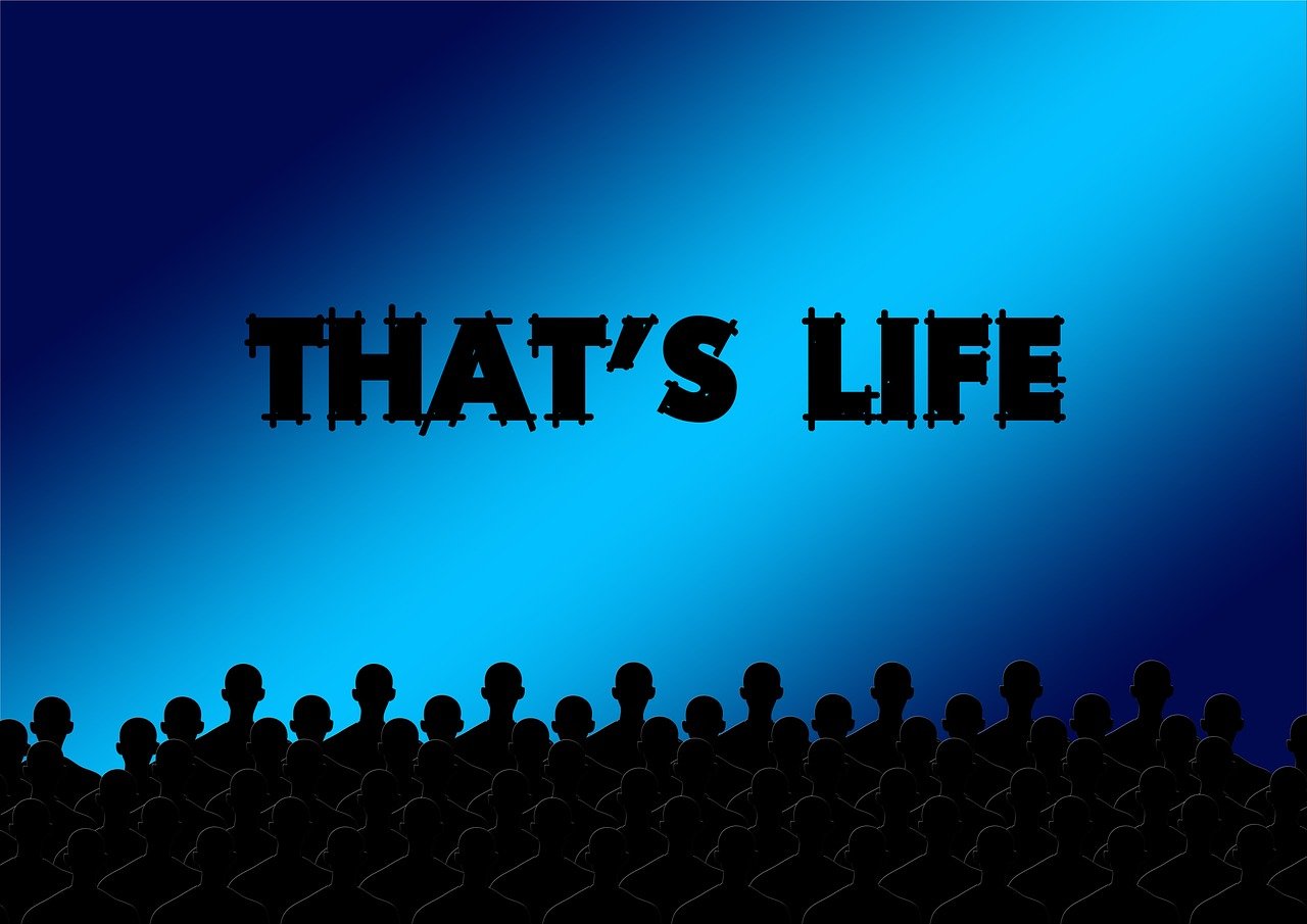 應(yīng)用案例 第28頁