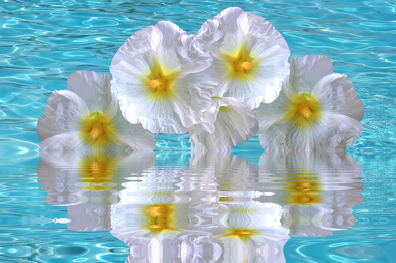 加勒比海域動(dòng)態(tài)更新，海盜活動(dòng)頻繁，警惕性需提升（最新報(bào)告 06月15日）