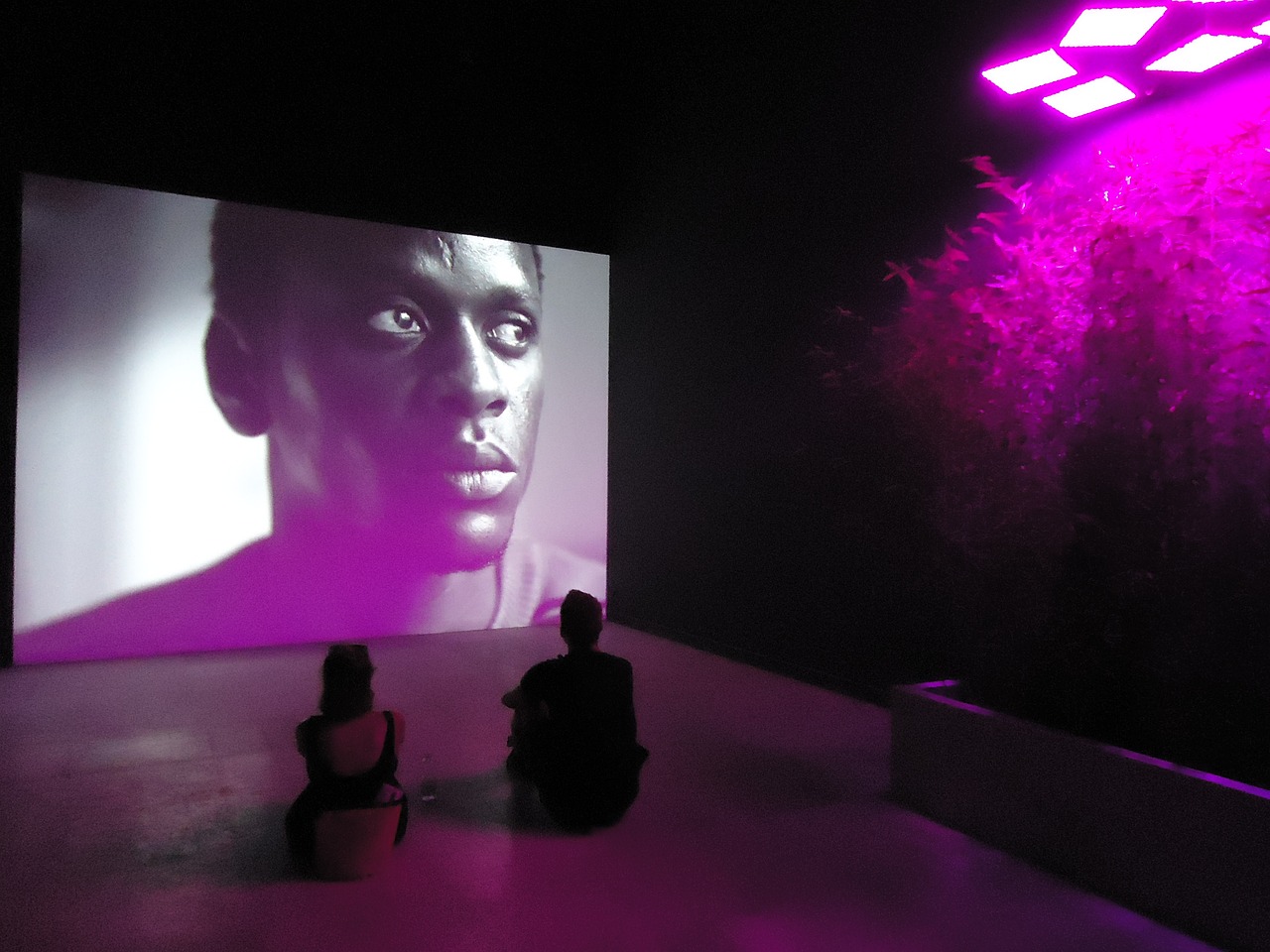 最新首映網(wǎng)，引領(lǐng)觀影潮流，打造電影愛好者首選平臺